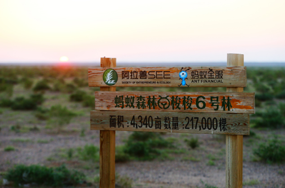 1568883031850140.png 79f0f736afc3793195eb909e2bc5c04042a91188_副本.png