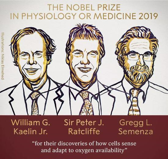 1570524017428410.jpg 5fdf8db1cb1349540c61822df8181c5dd0094ad3_副本.jpg