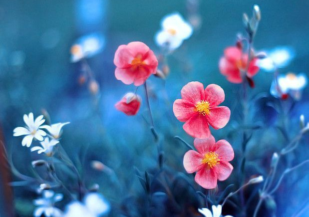 1581404859335135.jpg hhh.jpg